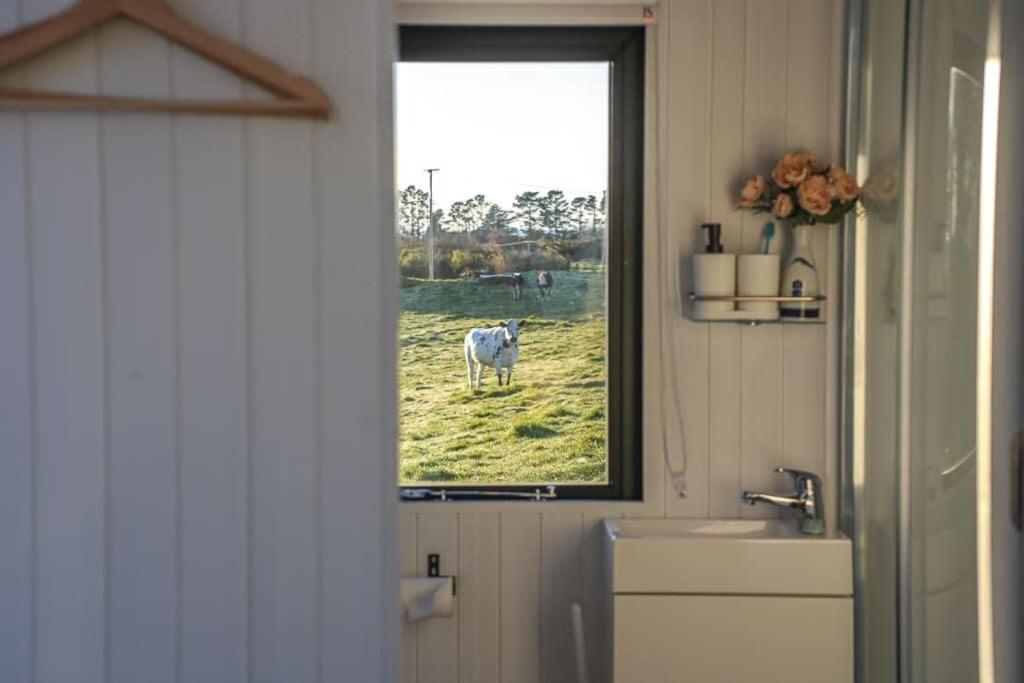 Villa Taranaki Creekside Kea By Tiny Away Stratford Exterior foto