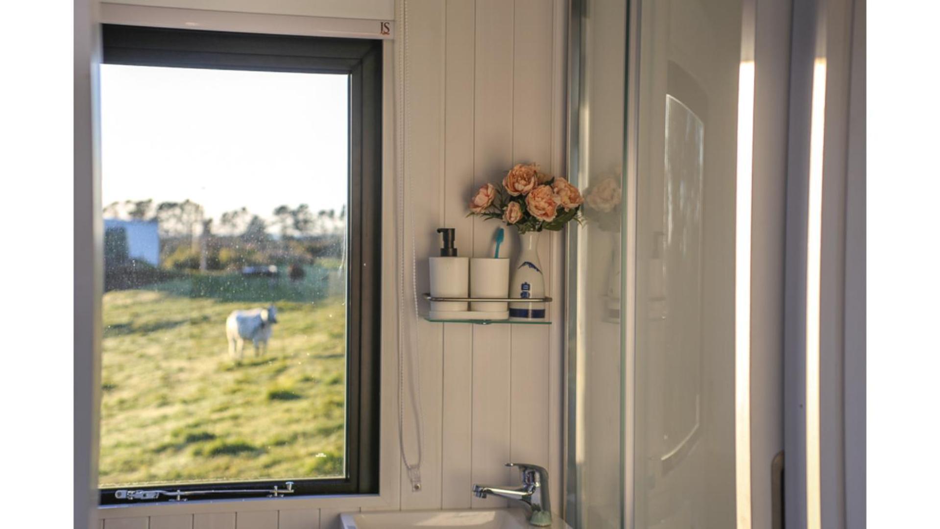 Villa Taranaki Creekside Kea By Tiny Away Stratford Exterior foto
