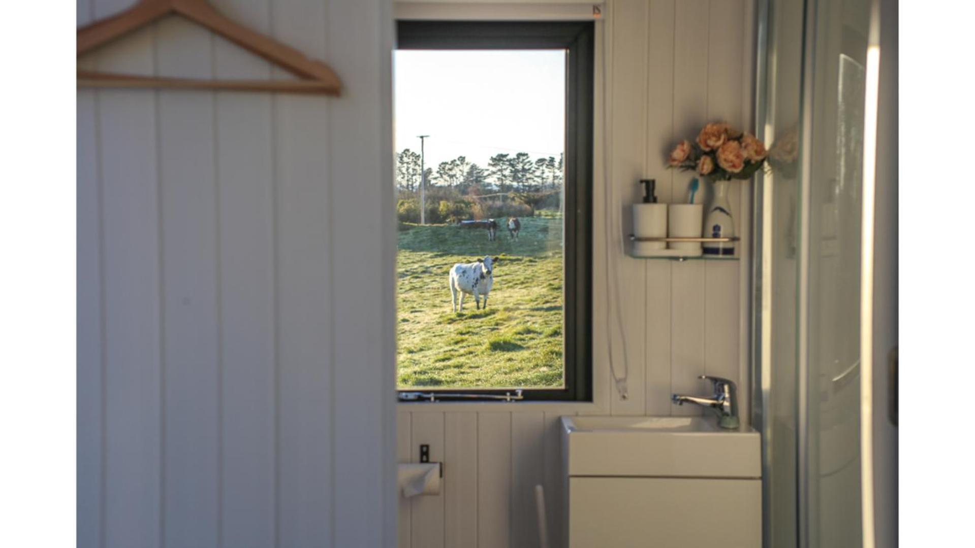 Villa Taranaki Creekside Kea By Tiny Away Stratford Exterior foto